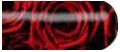 Red Roses