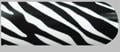 Zany Zebra
